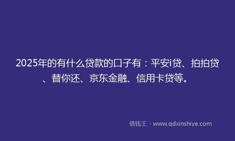 2025年的有什么贷款的口子有：平安i贷、拍拍贷、替你还、京东金融、信用卡贷等。
