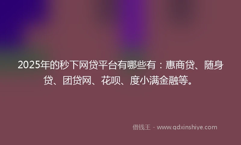 2025年的秒下网贷平台有哪些有：惠商贷、随身贷、团贷网、花呗、度小满金融等。