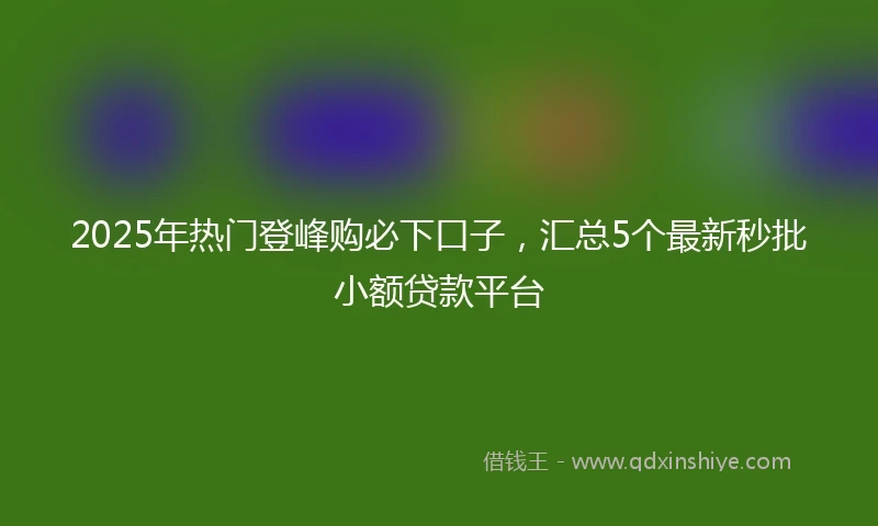 2025年热门登峰购必下口子，汇总5个最新秒批小额贷款平台