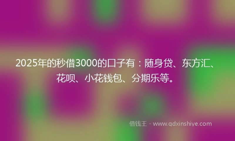 2025年的秒借3000的口子有：随身贷、东方汇、花呗、小花钱包、分期乐等。