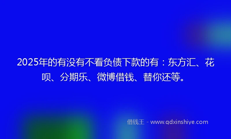 2025年的有没有不看负债下款的有：东方汇、花呗、分期乐、微博借钱、替你还等。
