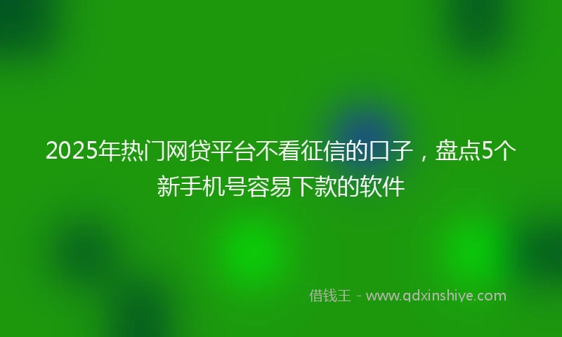 2025年热门网贷平台不看征信的口子，盘点5个新手机号容易下款的软件