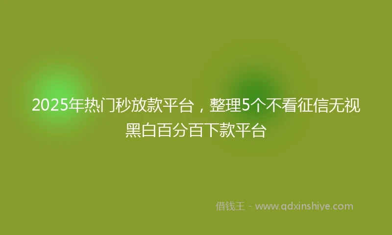 2025年热门秒放款平台，整理5个不看征信无视黑白百分百下款平台