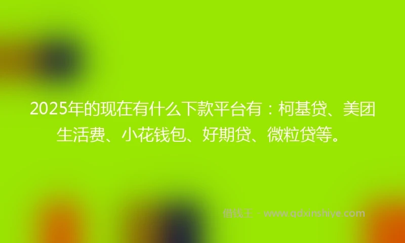 2025年的现在有什么下款平台有：柯基贷、美团生活费、小花钱包、好期贷、微粒贷等。
