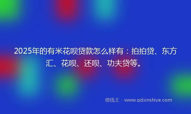 2025年的有米花呗贷款怎么样有：拍拍贷、东方汇、花呗、还呗、功夫贷等。