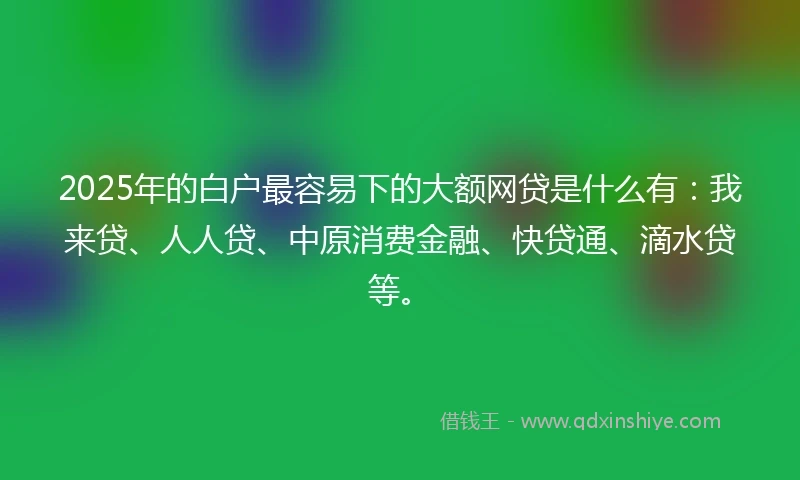 2025年的白户最容易下的大额网贷是什么有：我来贷、人人贷、中原消费金融、快贷通、滴水贷等。