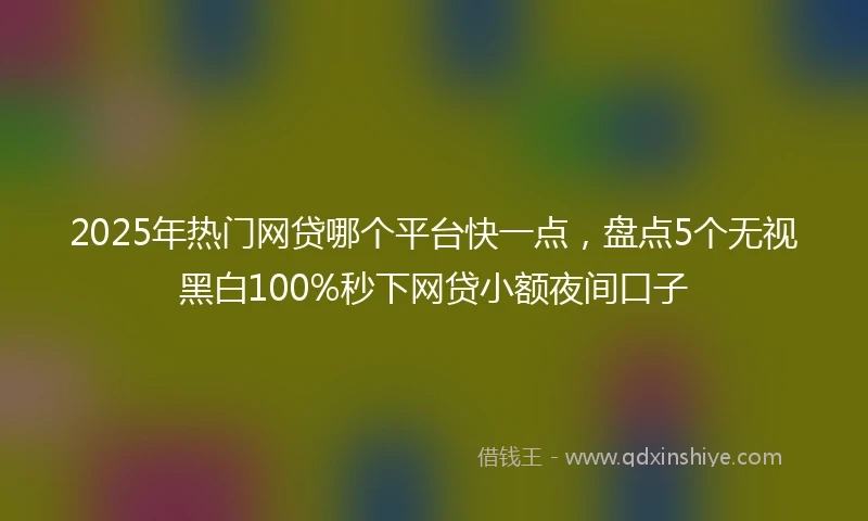 2025年热门网贷哪个平台快一点，盘点5个无视黑白100%秒下网贷小额夜间口子