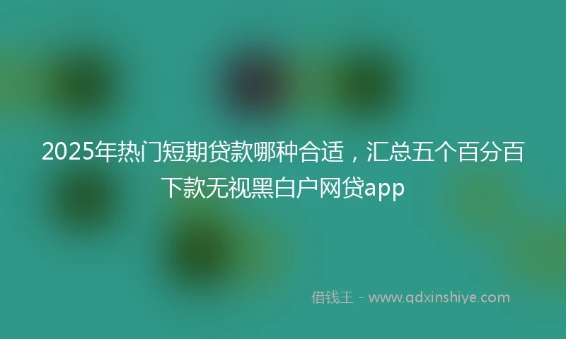 2025年热门短期贷款哪种合适，汇总五个百分百下款无视黑白户网贷app