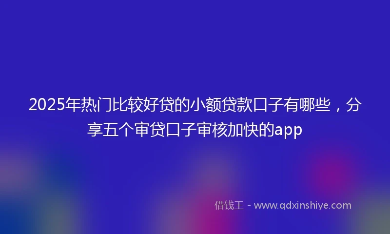 2025年热门比较好贷的小额贷款口子有哪些，分享五个审贷口子审核加快的app