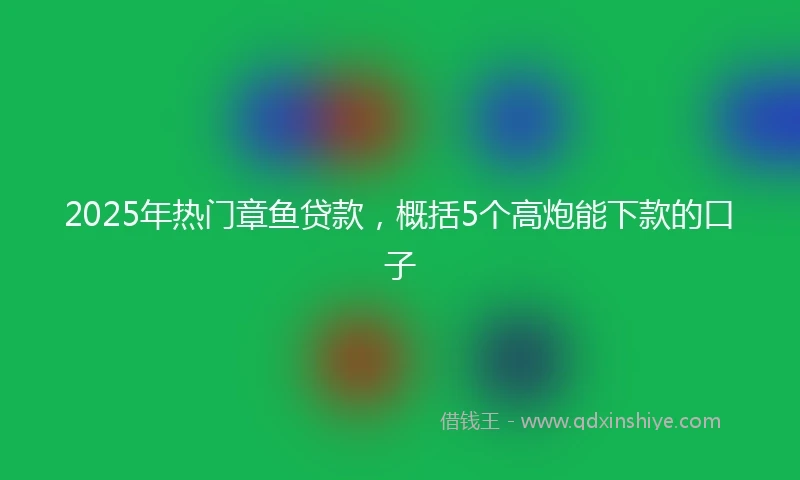 2025年热门章鱼贷款，概括5个高炮能下款的口子