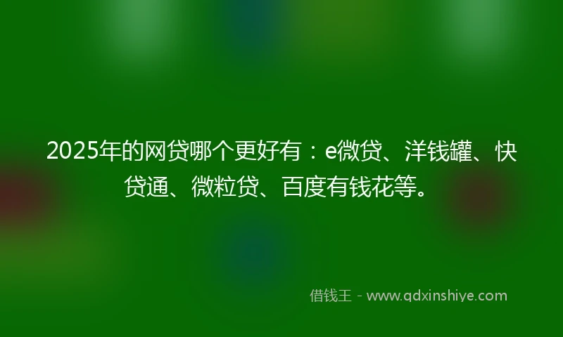 2025年的网贷哪个更好有：e微贷、洋钱罐、快贷通、微粒贷、百度有钱花等。