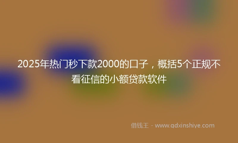 2025年热门秒下款2000的口子，概括5个正规不看征信的小额贷款软件
