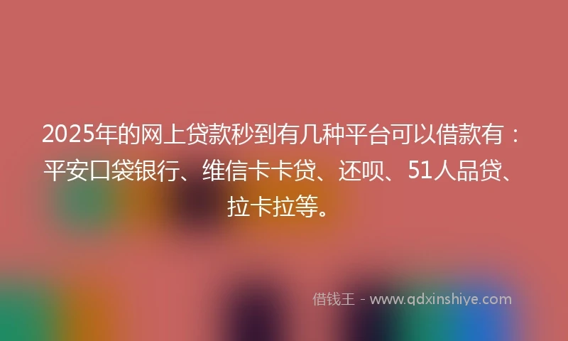 2025年的网上贷款秒到有几种平台可以借款有：平安口袋银行、维信卡卡贷、还呗、51人品贷、拉卡拉等。