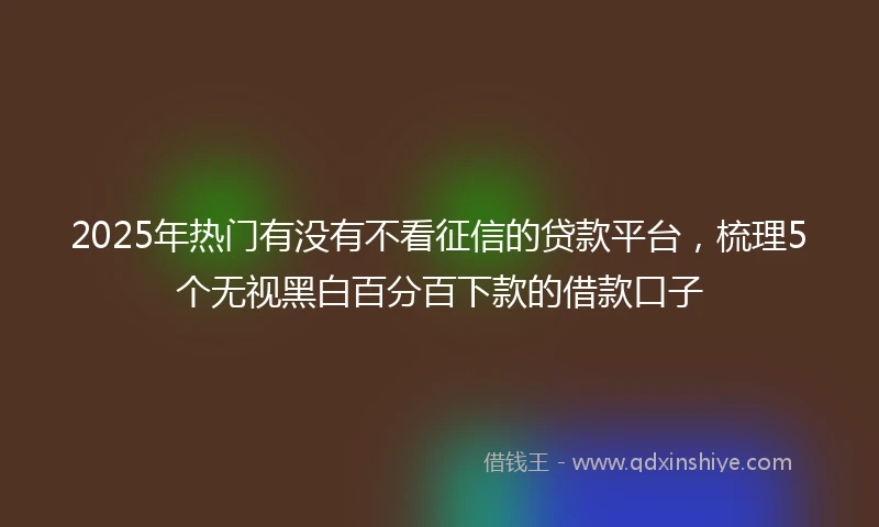 2025年热门有没有不看征信的贷款平台，梳理5个无视黑白百分百下款的借款口子