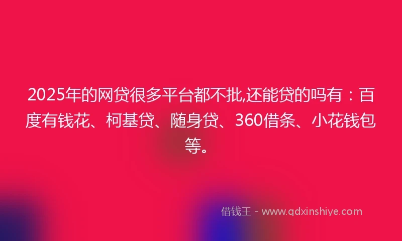 2025年的网贷很多平台都不批,还能贷的吗有：百度有钱花、柯基贷、随身贷、360借条、小花钱包等。