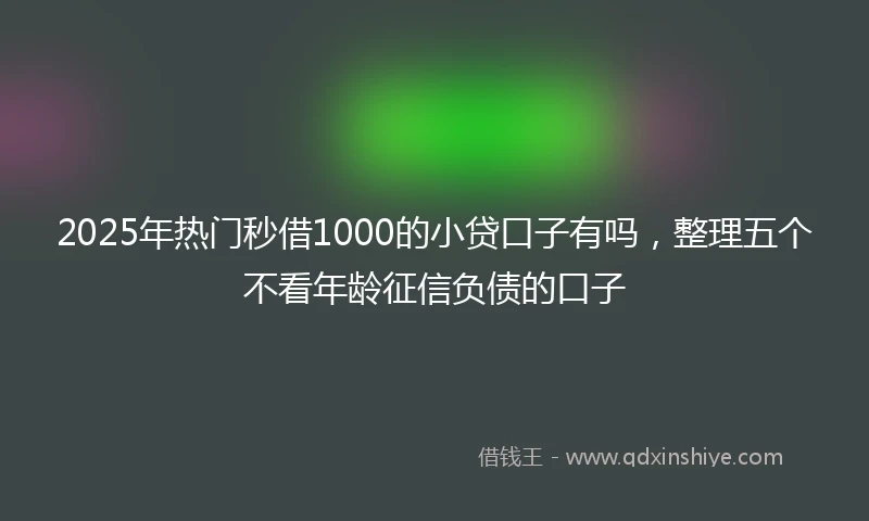 2025年热门秒借1000的小贷口子有吗，整理五个不看年龄征信负债的口子