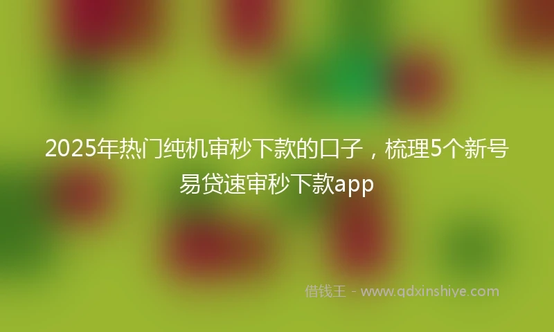 2025年热门纯机审秒下款的口子，梳理5个新号易贷速审秒下款app