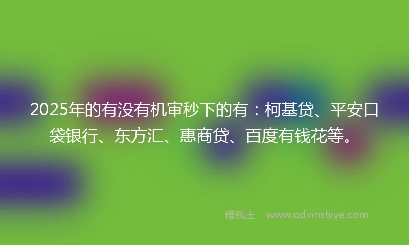 2025年的有没有机审秒下的有：柯基贷、平安口袋银行、东方汇、惠商贷、百度有钱花等。