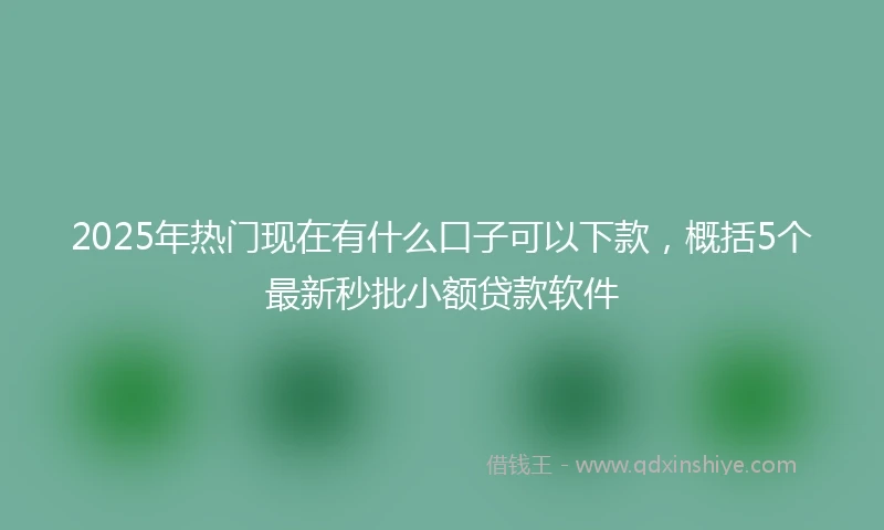 2025年热门现在有什么口子可以下款，概括5个最新秒批小额贷款软件