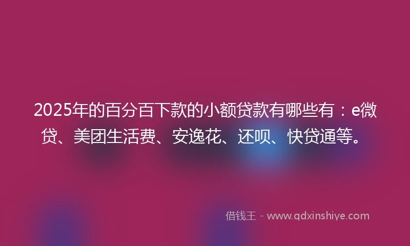 2025年的百分百下款的小额贷款有哪些有：e微贷、美团生活费、安逸花、还呗、快贷通等。