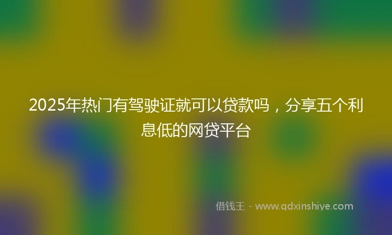 2025年热门有驾驶证就可以贷款吗，分享五个利息低的网贷平台