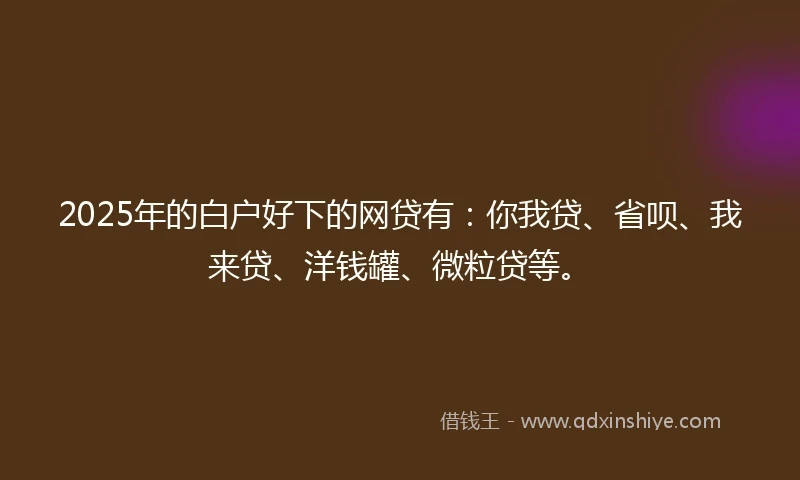 2025年的白户好下的网贷有：你我贷、省呗、我来贷、洋钱罐、微粒贷等。