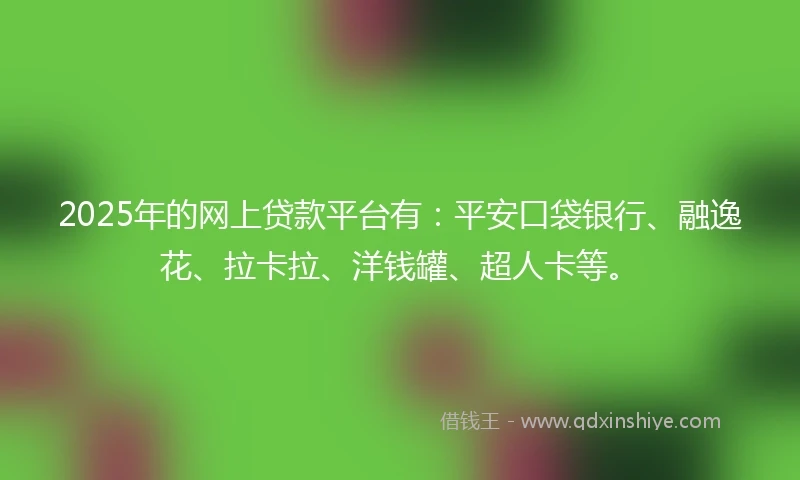 2025年的网上贷款平台有：平安口袋银行、融逸花、拉卡拉、洋钱罐、超人卡等。