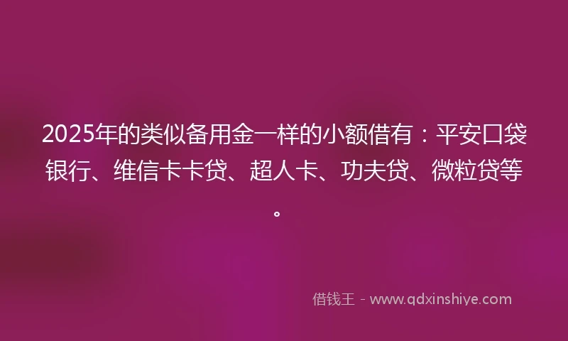2025年的类似备用金一样的小额借有：平安口袋银行、维信卡卡贷、超人卡、功夫贷、微粒贷等。