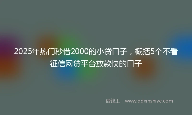 2025年热门秒借2000的小贷口子，概括5个不看征信网贷平台放款快的口子