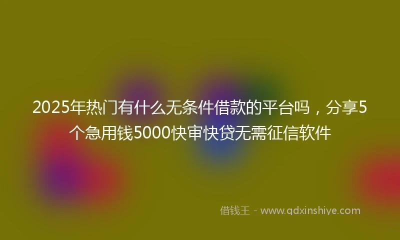 2025年热门有什么无条件借款的平台吗，分享5个急用钱5000快审快贷无需征信软件