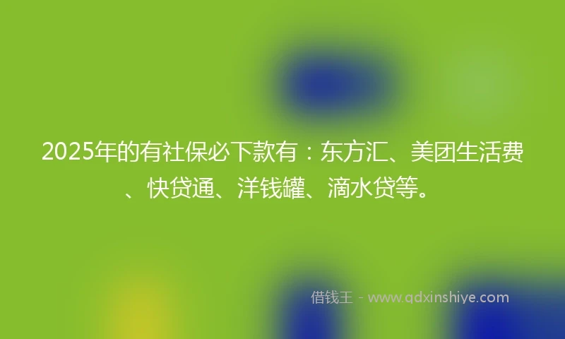 2025年的有社保必下款有：东方汇、美团生活费、快贷通、洋钱罐、滴水贷等。