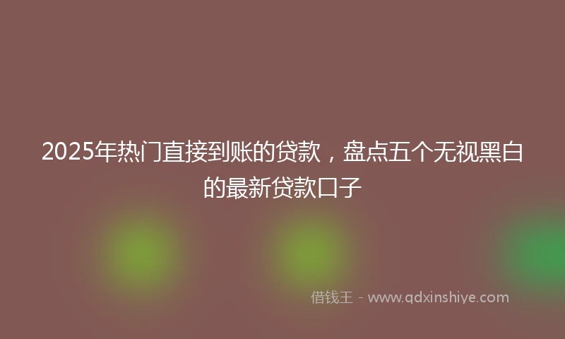 2025年热门直接到账的贷款，盘点五个无视黑白的最新贷款口子