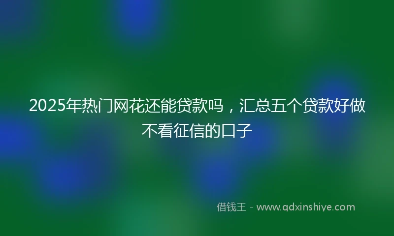 2025年热门网花还能贷款吗，汇总五个贷款好做不看征信的口子
