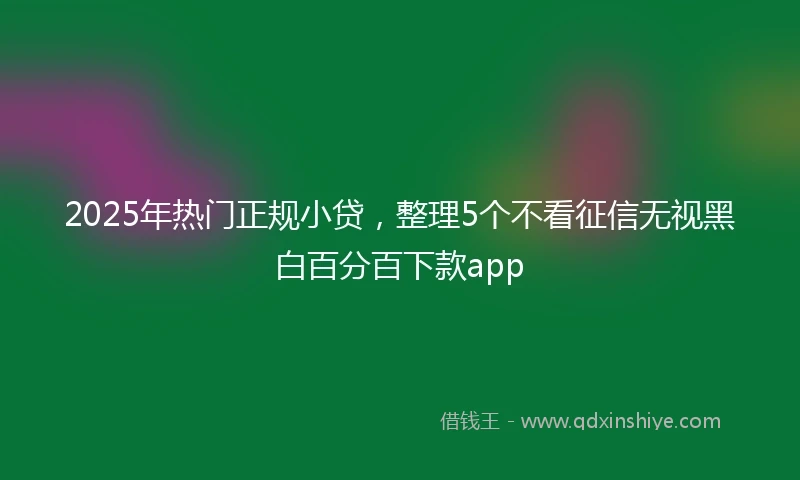 2025年热门正规小贷，整理5个不看征信无视黑白百分百下款app