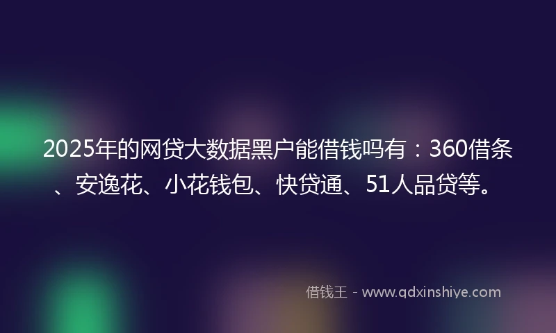 2025年的网贷大数据黑户能借钱吗有：360借条、安逸花、小花钱包、快贷通、51人品贷等。
