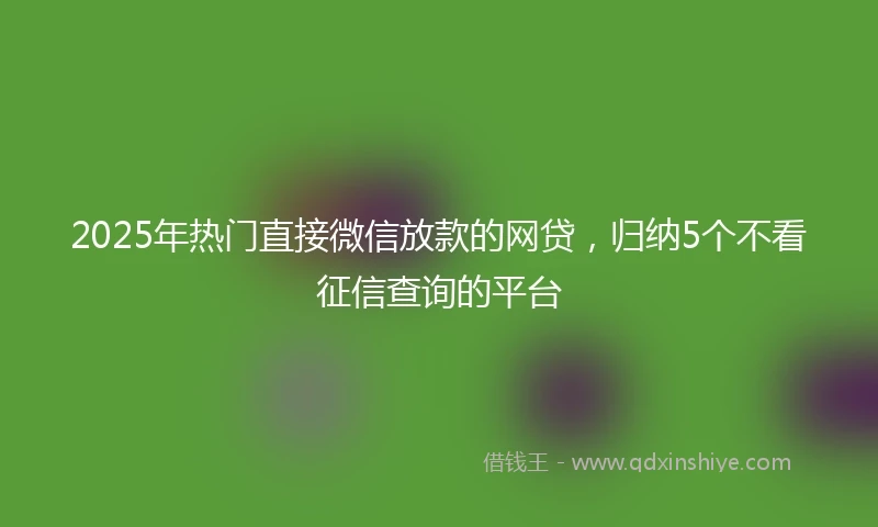 2025年热门直接微信放款的网贷，归纳5个不看征信查询的平台
