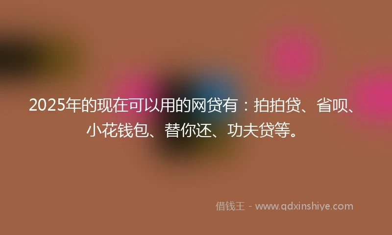 2025年的现在可以用的网贷有：拍拍贷、省呗、小花钱包、替你还、功夫贷等。