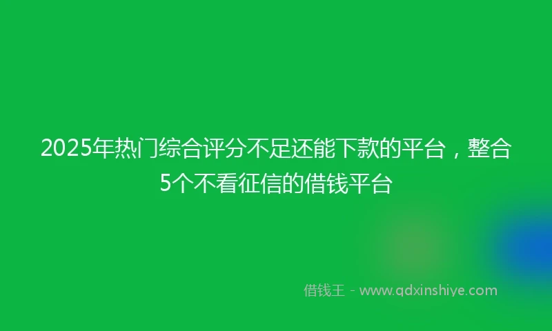 2025年热门综合评分不足还能下款的平台，整合5个不看征信的借钱平台