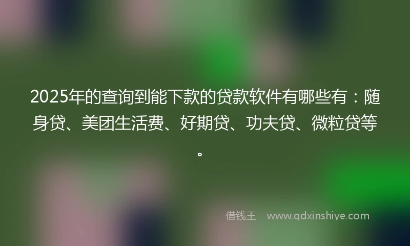 2025年的查询到能下款的贷款软件有哪些有：随身贷、美团生活费、好期贷、功夫贷、微粒贷等。