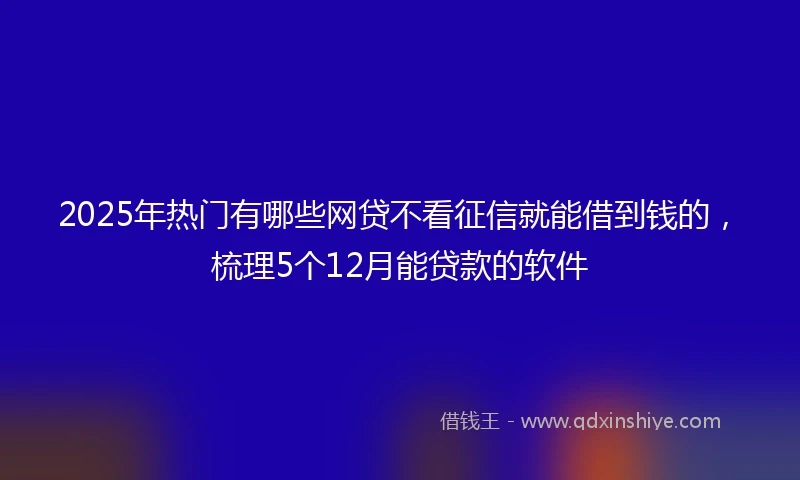 2025年热门有哪些网贷不看征信就能借到钱的，梳理5个12月能贷款的软件