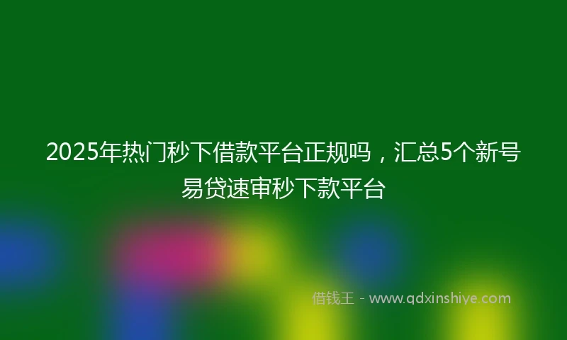 2025年热门秒下借款平台正规吗，汇总5个新号易贷速审秒下款平台