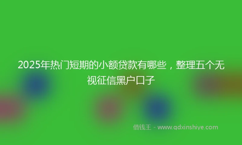2025年热门短期的小额贷款有哪些，整理五个无视征信黑户口子