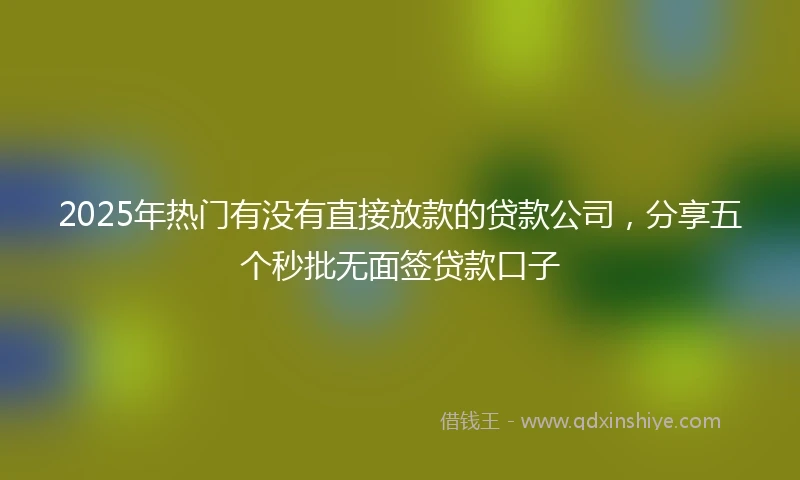 2025年热门有没有直接放款的贷款公司，分享五个秒批无面签贷款口子