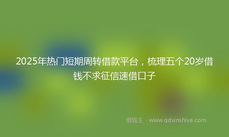 2025年热门短期周转借款平台，梳理五个20岁借钱不求征信速借口子