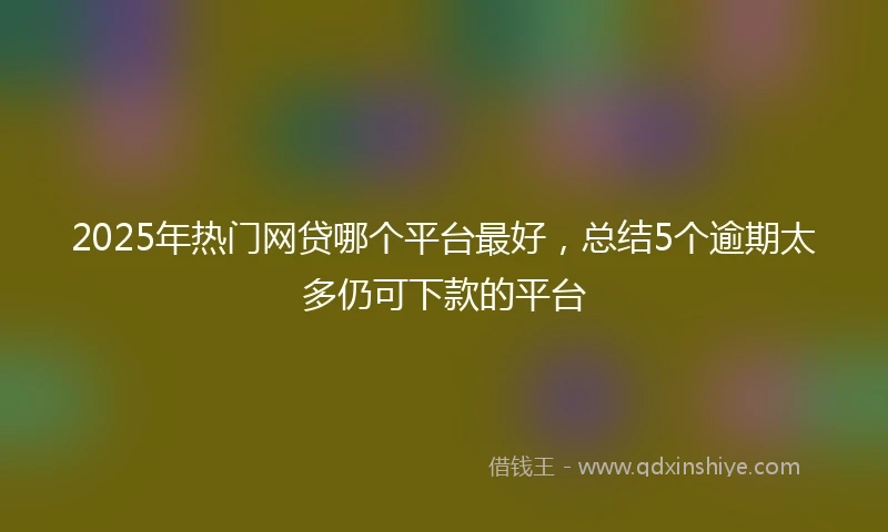 2025年热门网贷哪个平台最好，总结5个逾期太多仍可下款的平台