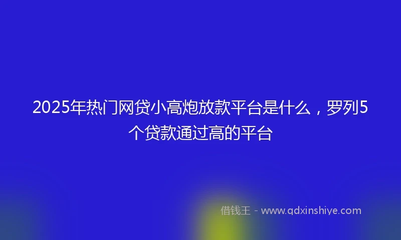 2025年热门网贷小高炮放款平台是什么，罗列5个贷款通过高的平台