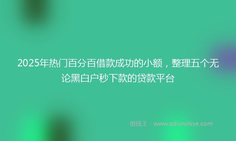 2025年热门百分百借款成功的小额，整理五个无论黑白户秒下款的贷款平台