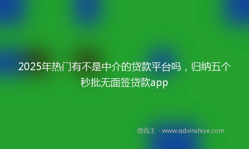 2025年热门有不是中介的贷款平台吗，归纳五个秒批无面签贷款app