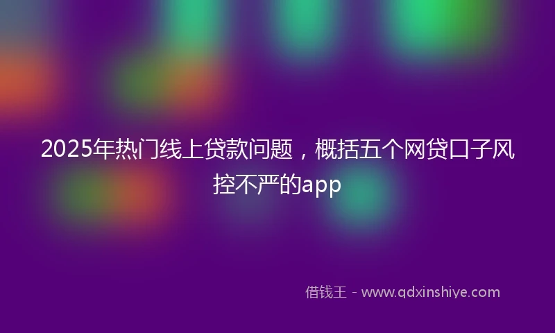 2025年热门线上贷款问题，概括五个网贷口子风控不严的app