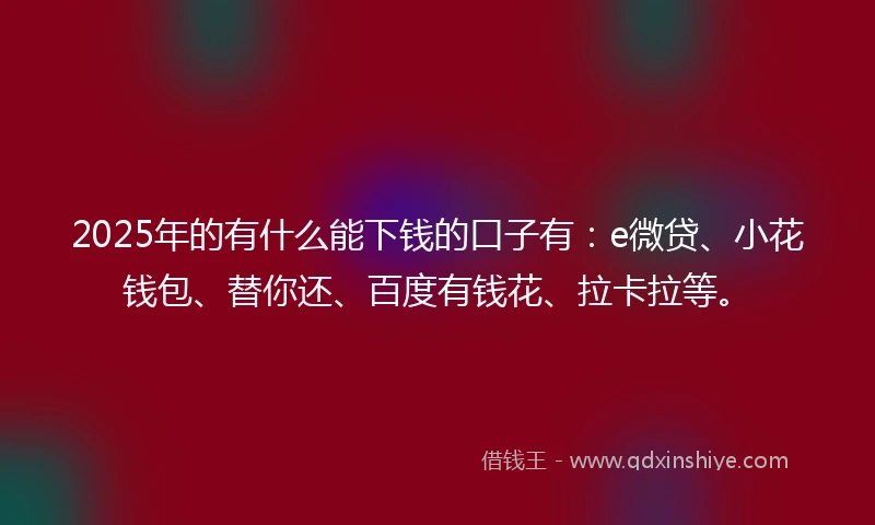 2025年的有什么能下钱的口子有：e微贷、小花钱包、替你还、百度有钱花、拉卡拉等。